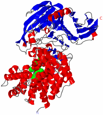 Image Asym./Biol. Unit