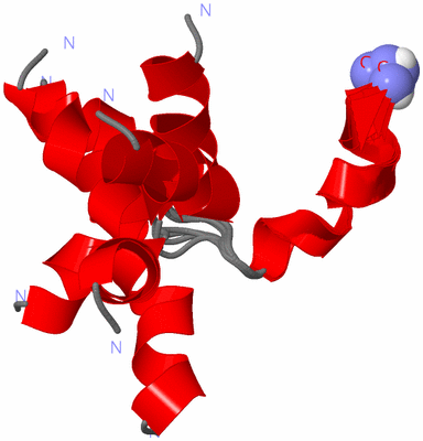 Image NMR Structure - all models