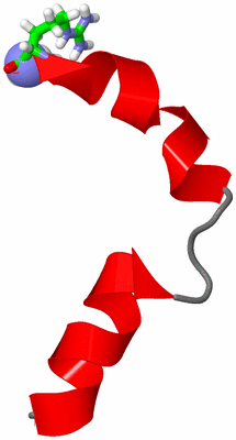 Image NMR Structure - model 1, sites