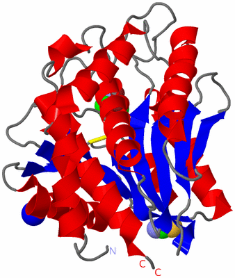 Image Asym./Biol. Unit