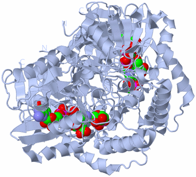 Image Biological Unit 1