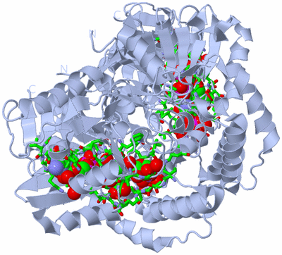 Image Biol. Unit 1 - sites