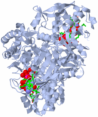 Image Biol. Unit 1 - sites