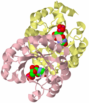 Image Biological Unit 2