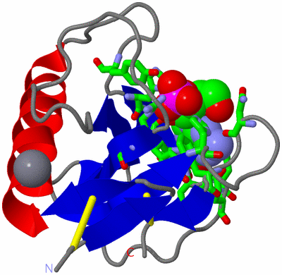 Image Asym./Biol. Unit - sites