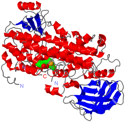 Image Asym./Biol. Unit