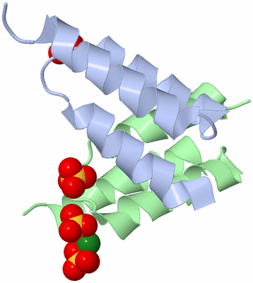 Image Asymmetric Unit