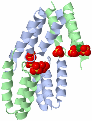 Image Biological Unit 2