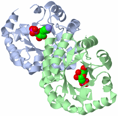 Image Asym./Biol. Unit