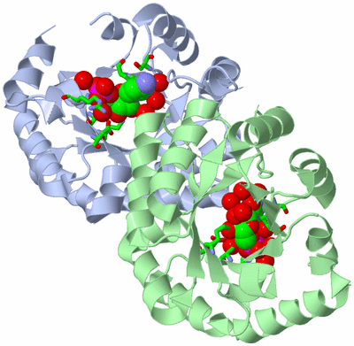 Image Asym./Biol. Unit - sites