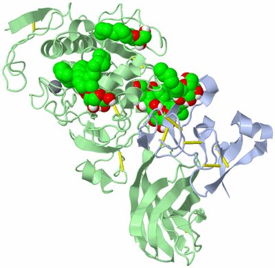 Image Asym./Biol. Unit