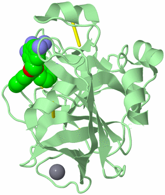 Image Biological Unit 2