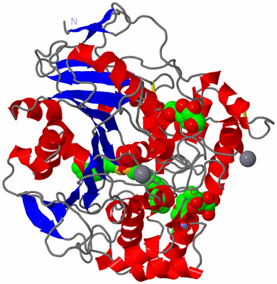 Image Asymmetric Unit