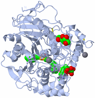 Image Biological Unit 1