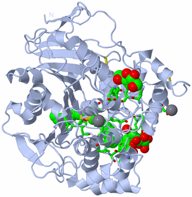 Image Biol. Unit 1 - sites