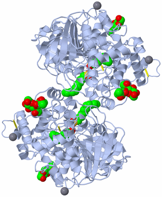Image Biological Unit 2