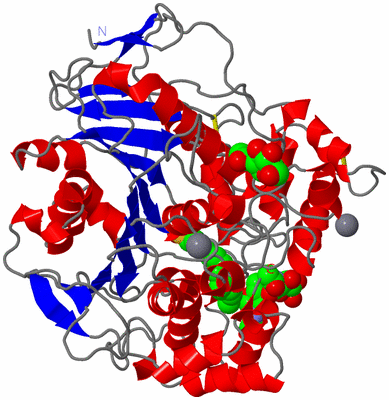 Image Asym./Biol. Unit