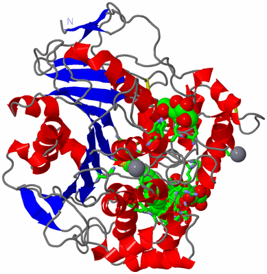 Image Asym./Biol. Unit - sites