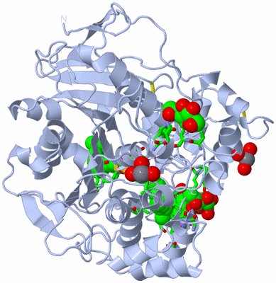 Image Biol. Unit 1 - sites