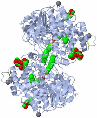 Image Biological Unit 2