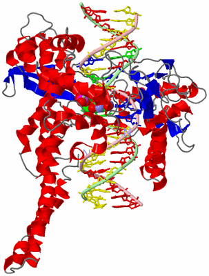 Image Asym./Biol. Unit