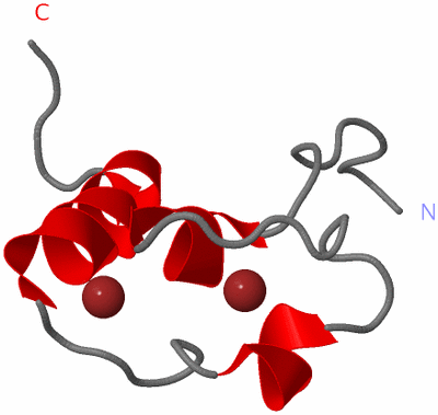 Image NMR Structure - model 1