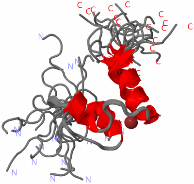 Image NMR Structure - all models