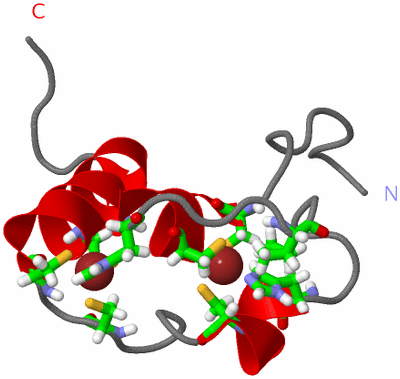 Image NMR Structure - model 1, sites