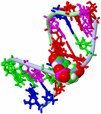 Image NMR Structure - model 1