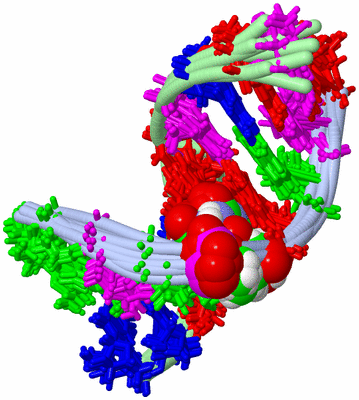 Image NMR Structure - all models