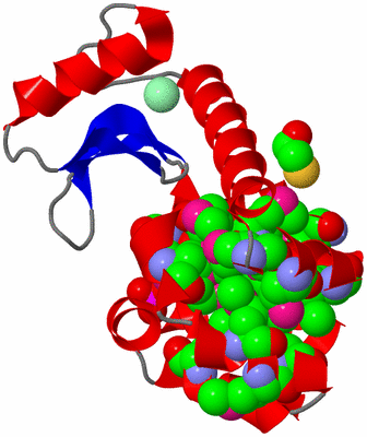 Image Asym./Biol. Unit