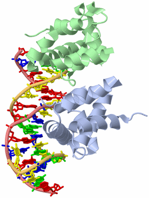 Image Biological Unit 2