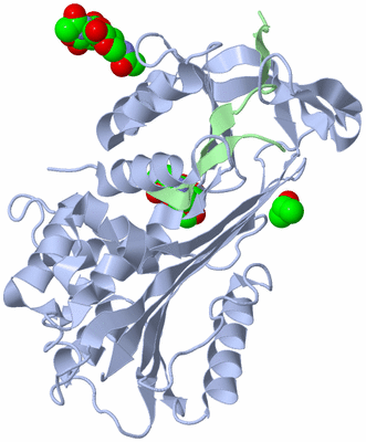 Image Biological Unit 1