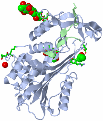 Image Biol. Unit 1 - sites