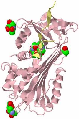 Image Biological Unit 2