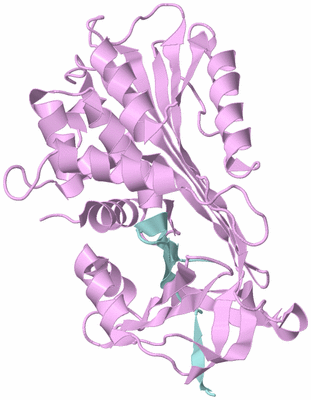 Image Biological Unit 3