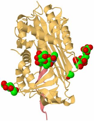 Image Biological Unit 4