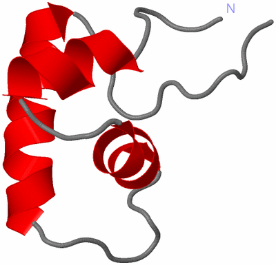 Image NMR Structure - model 1