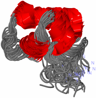 Image NMR Structure - all models