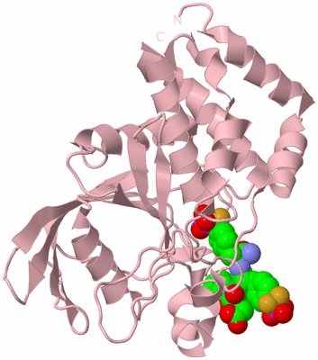 Image Biological Unit 3