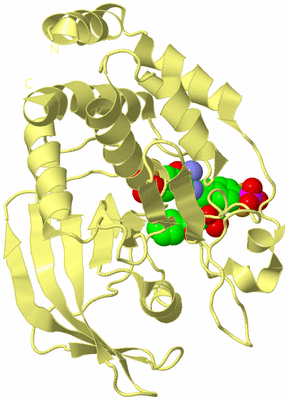 Image Biological Unit 4