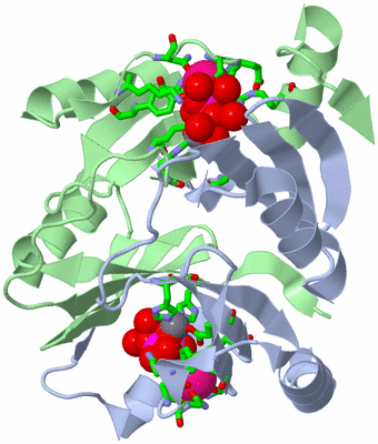 Image Asym./Biol. Unit - sites