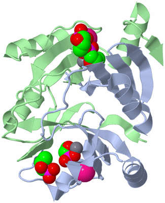 Image Asym./Biol. Unit