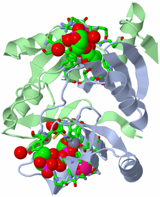 Image Asym./Biol. Unit - sites
