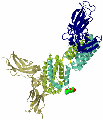 Image Asym./Biol. Unit