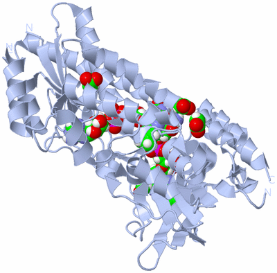 Image Biological Unit 1