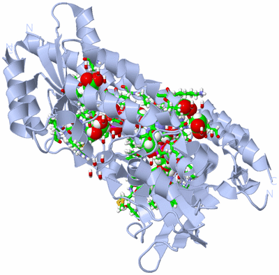 Image Biol. Unit 1 - sites