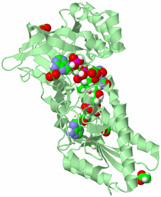 Image Biological Unit 2