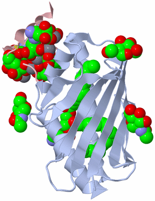 Image Biological Unit 1