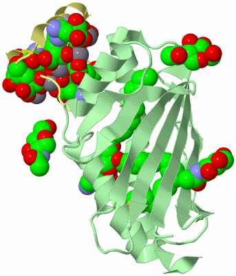 Image Biological Unit 2